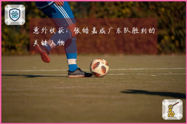 意外收获，张皓嘉成广东队胜利的关键人物